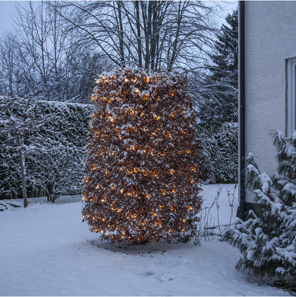 Malla De Luces Shiny Warm White 3m Negro De Star Trading - Luz de noche con 200 puntos de luz LED con hermosa luz blanca c&aacute;lida.