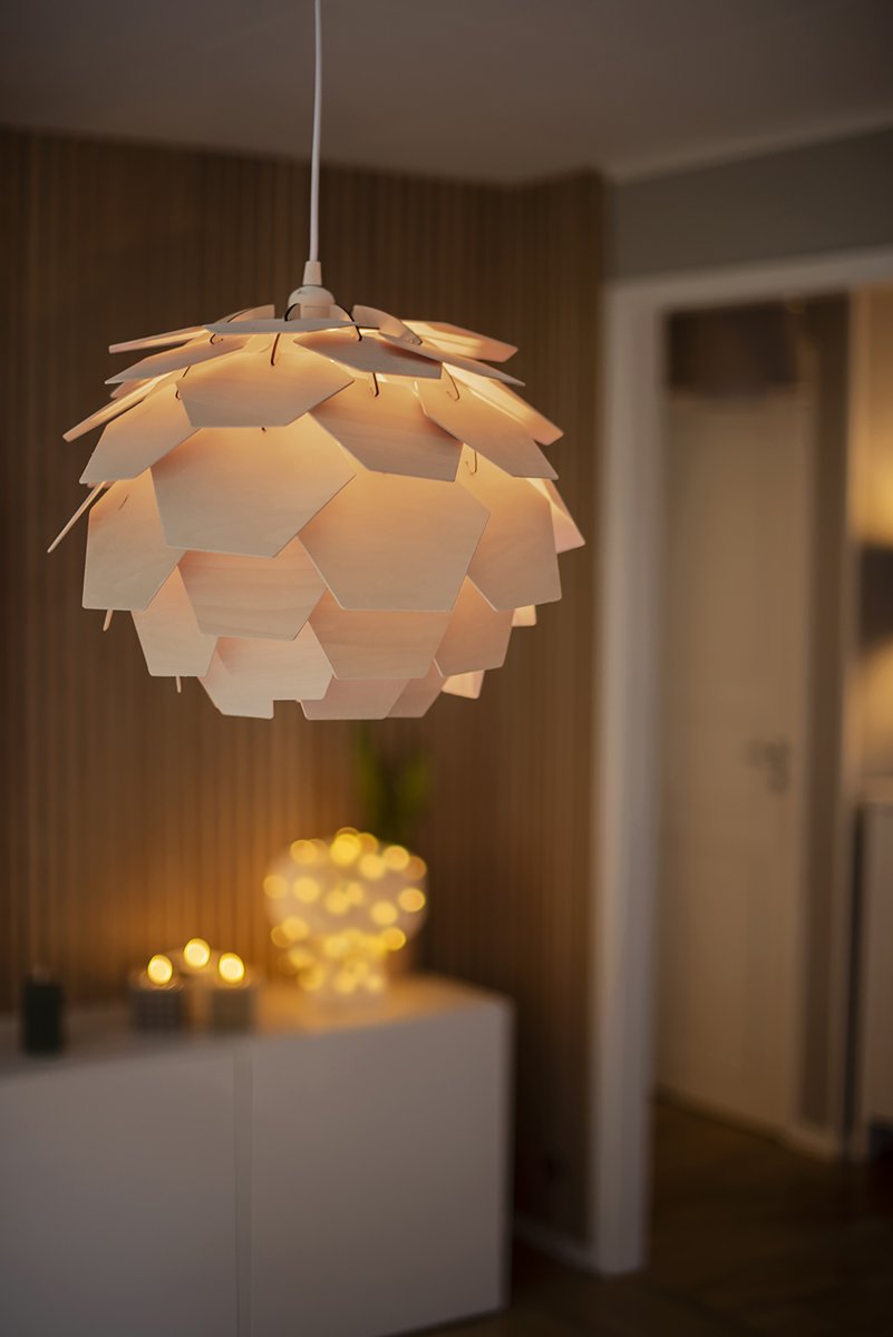 Carpatica Ø40 Naturaleza Lámpas de techo De Aneta Lighting - El dosel del techo está hecho de plástico blanco para suspensión con gancho y está equipado con una tira de sujeción.