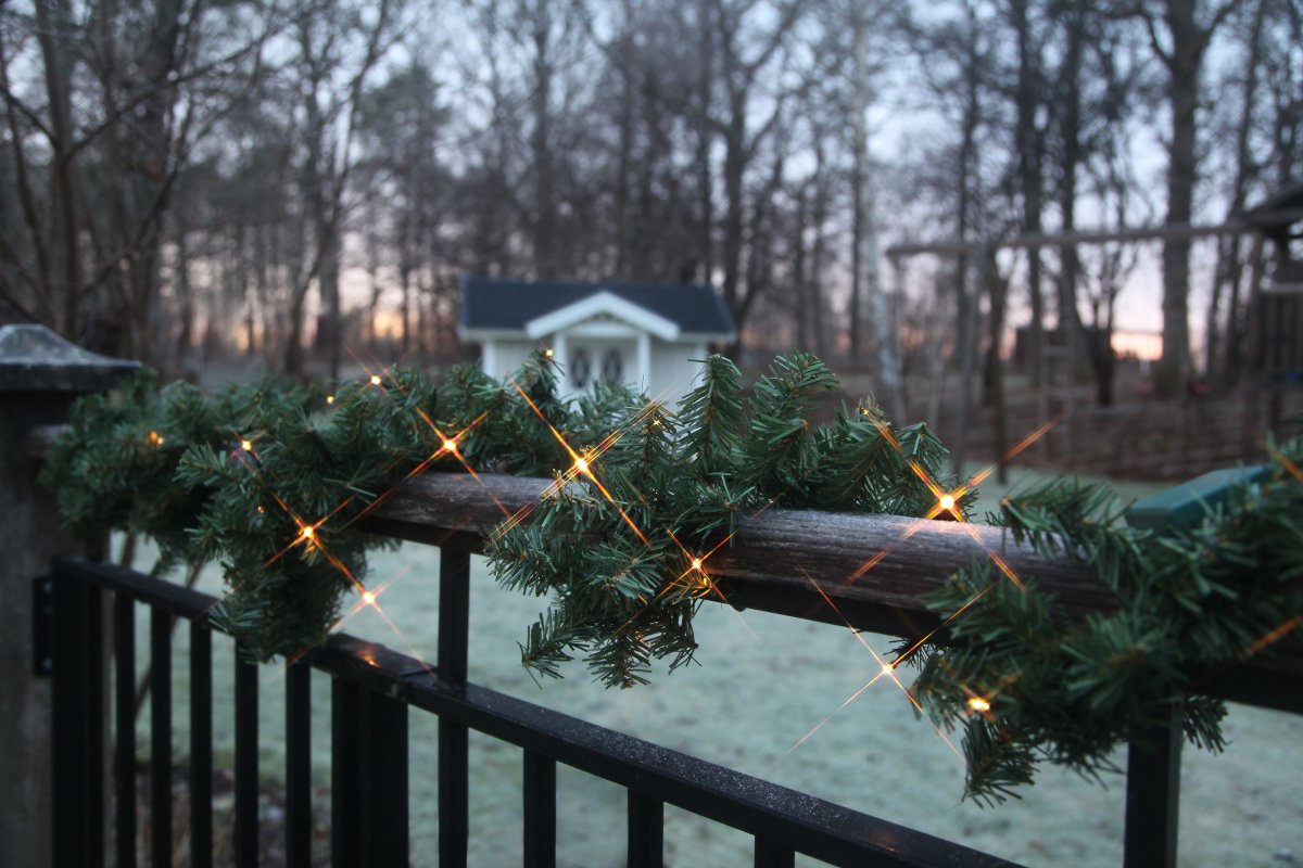 Canadian 250cm Verde De Star Trading - Guirnalda con 30 luces LED a pilas.