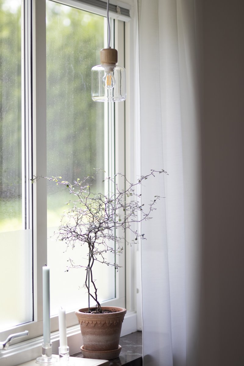 DOT Ø10 Transparente lámpara de ventana De Globen Lighting - El característico pomo de madera contrasta con la pantalla de vidrio y le da carácter.