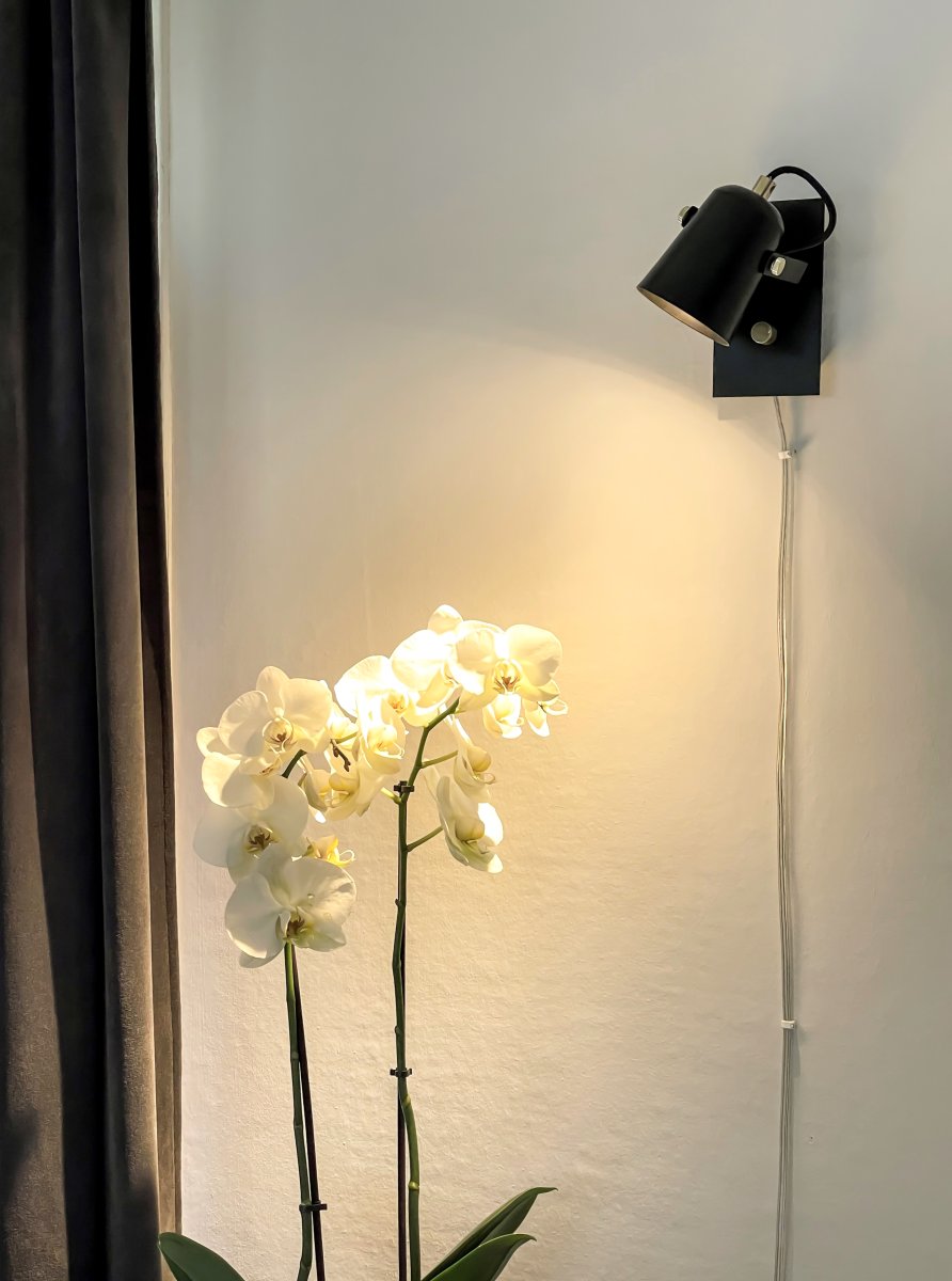Metz Negro lámpara de lectura De Aneta Lighting - De color negro con detalles de lat&oacute;n y con su forma elegante, da una impresi&oacute;n cl&aacute;sica en un estilo vintage moderno.