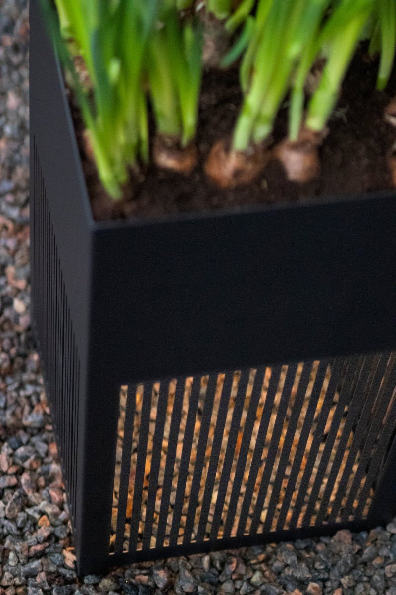 Falsterbo Negro De Globen Lighting - La fuente de luz está montada en la parte inferior de la lámpara, debajo de la caja de cultivo, y proporciona una luz dirigida hacia abajo que se extiende hacia el suelo y crea un hermoso juego de sombras a través de las láminas cortadas con láser en acero Corten.