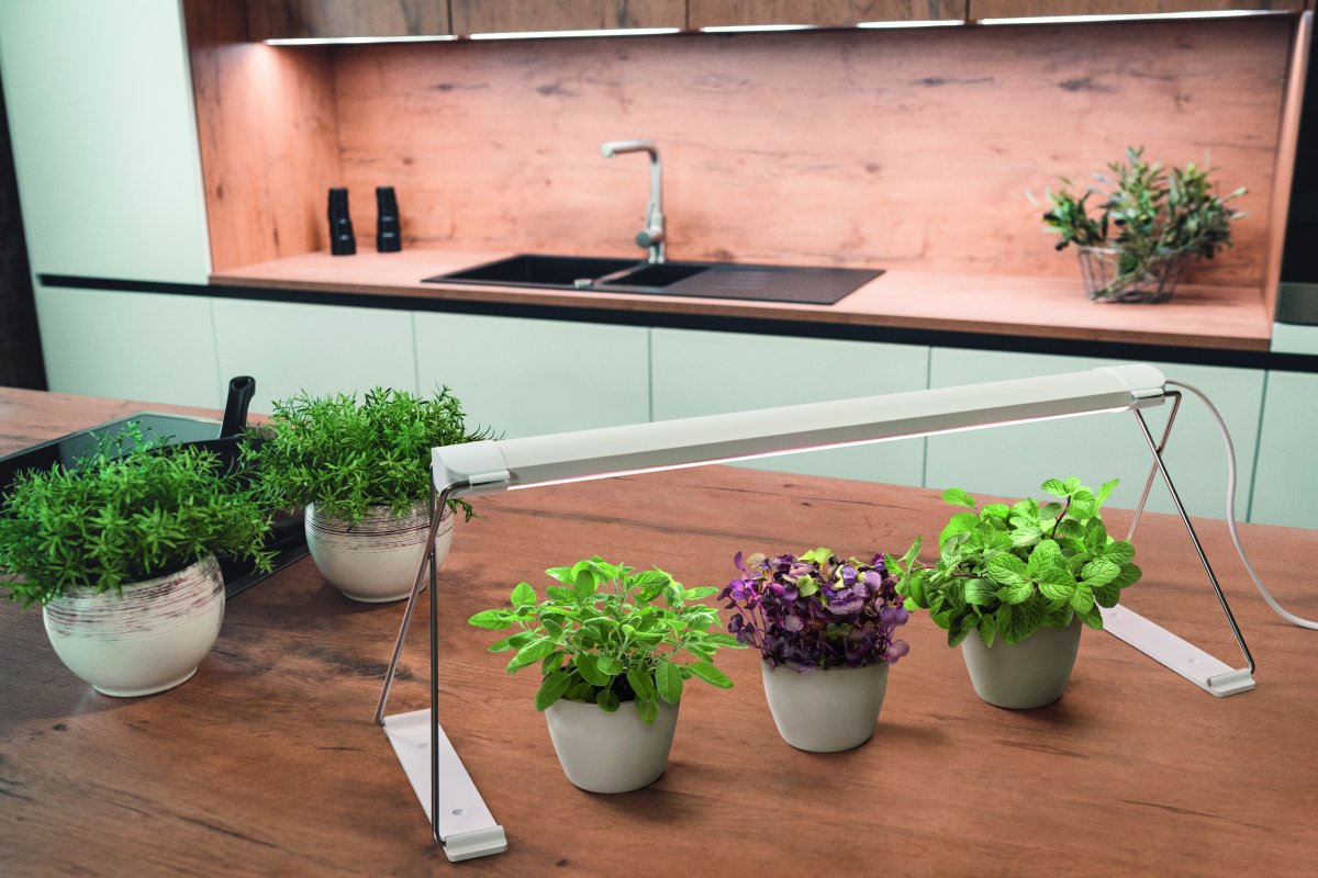 Lámpara Para Plantas Garden Light Stand Blanco De Ledvance - Simplemente coloque sus plantas debajo y proporci&oacute;neles un espectro de LED especialmente desarrollado de LED blancos y rojos, que promueven la fotos&iacute;ntesis y apoyan el crecimiento de la mayor&iacute;a de las plantas.