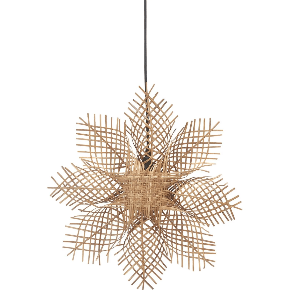 Carol Ø45 Naturaleza De PR Home - La estrella viene con un cable de plástico negro de 3,5 metros de largo con enchufe de pared y casquillo E14.