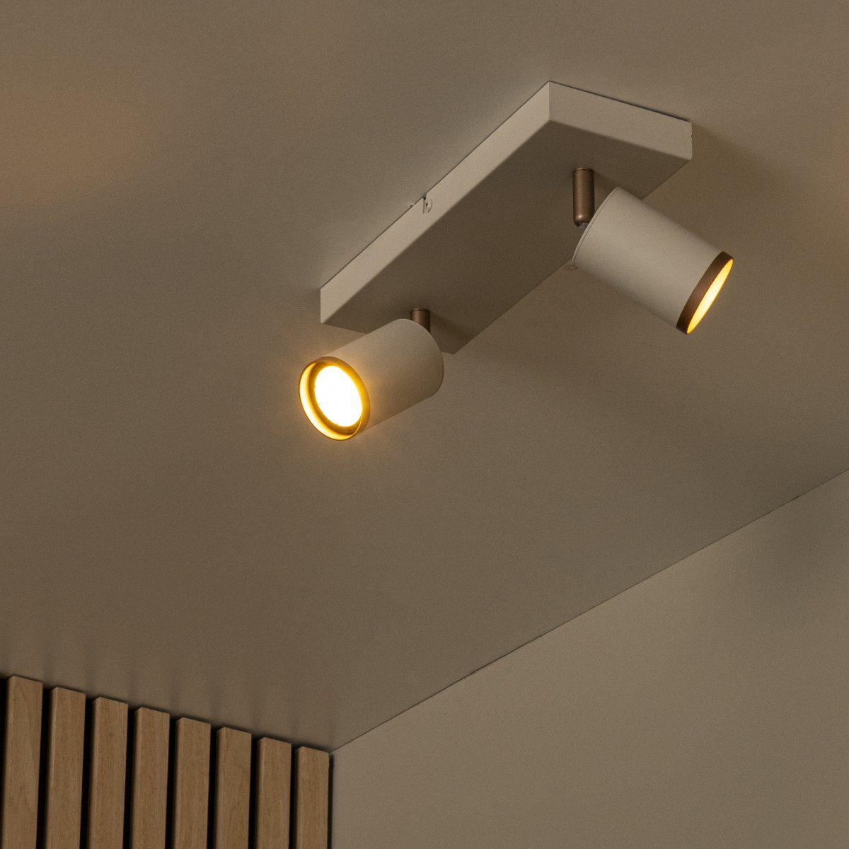Regina 2 Gris pardo foco de techo De Lucide - Gracias a sus dos focos orientables, la luz se puede orientar f&aacute;cilmente hacia donde se necesite para una iluminaci&oacute;n funcional y flexible.