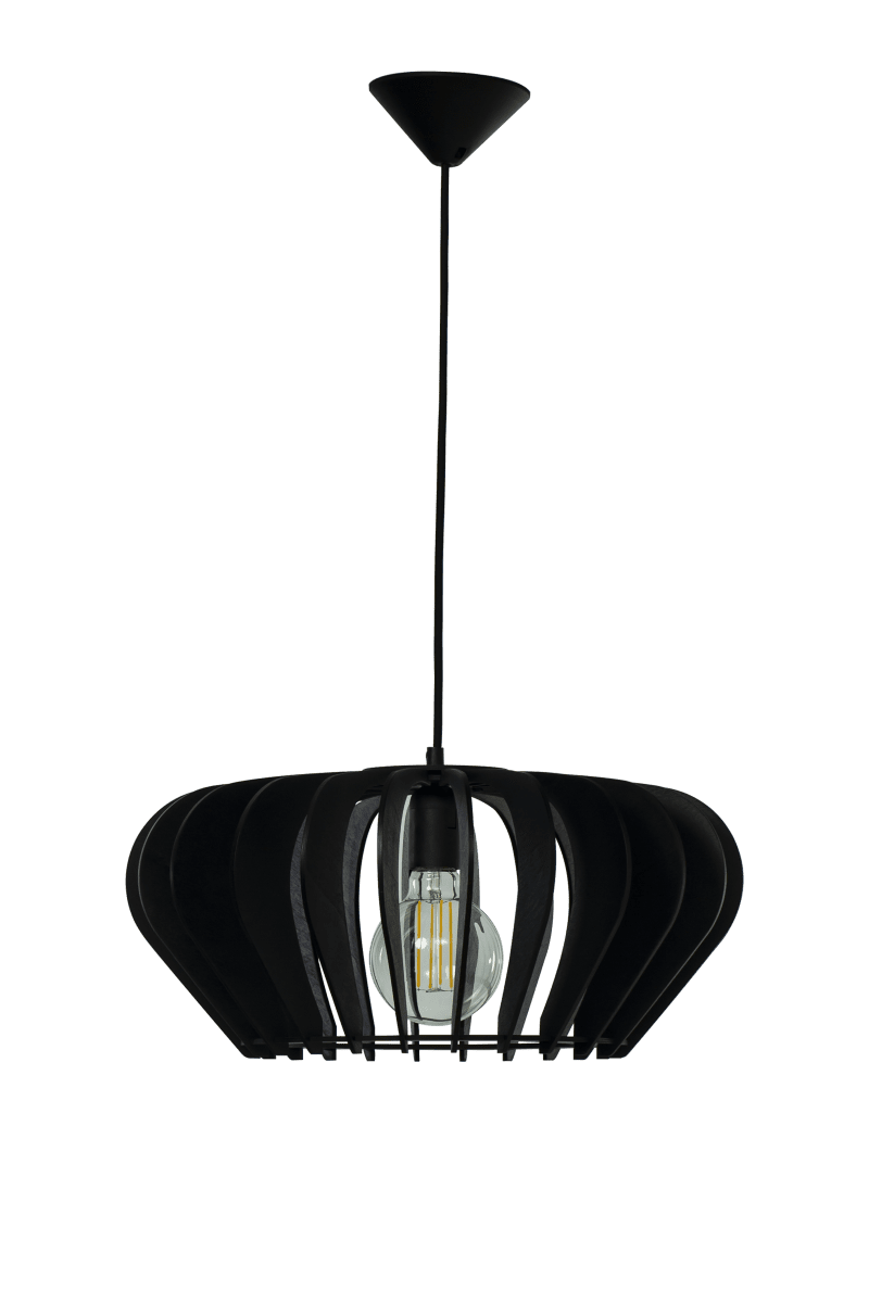 Calyps Ø45 Negro Lámpas de techo De Aneta Lighting - Colócalo encima de la mesa del comedor o en la sala de estar.
