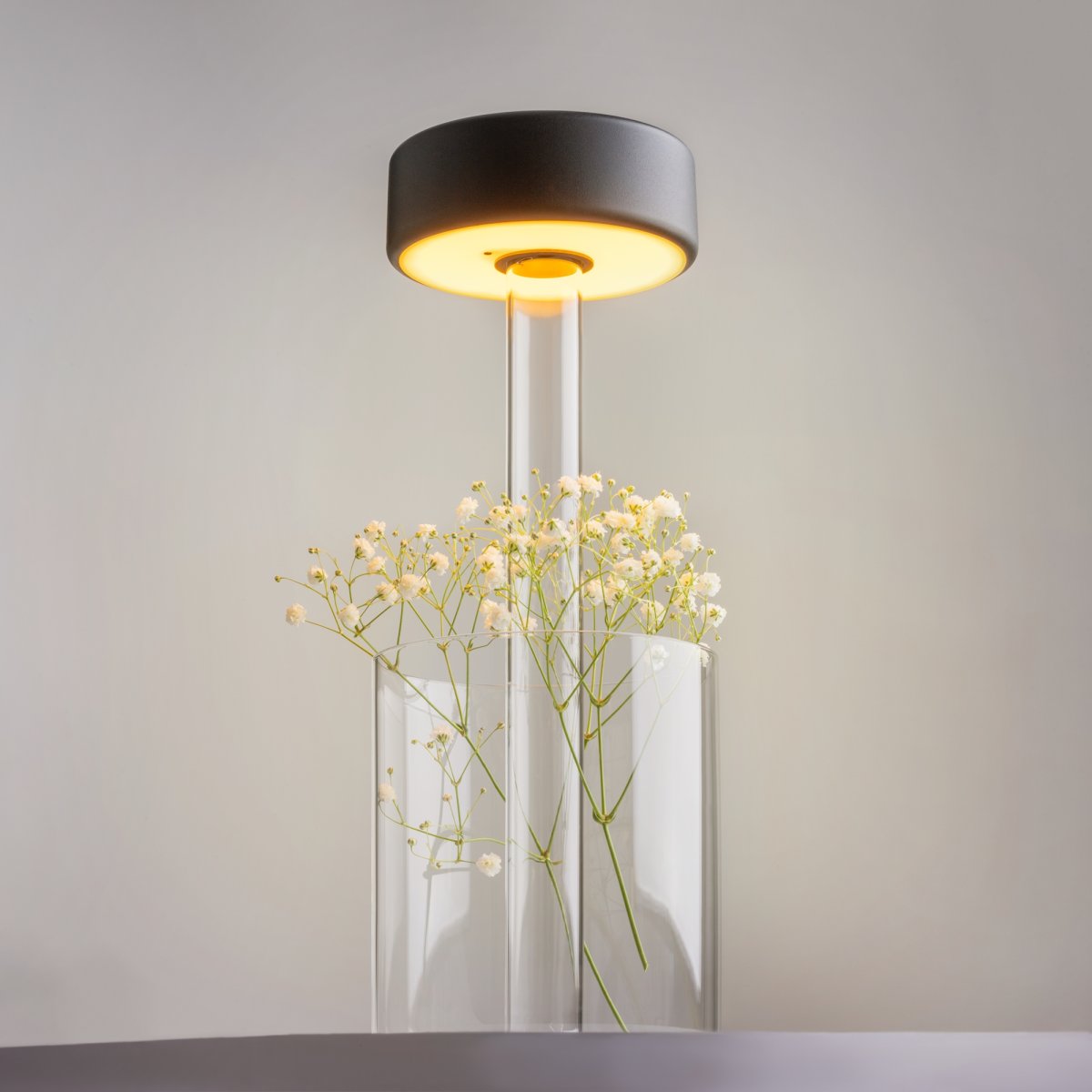AI Collaboration 35cm Negro portátil De Maytoni - El diseño: con una fina varilla de metal; una base redonda plana o con base de cristal en la que se integra un jarrón.