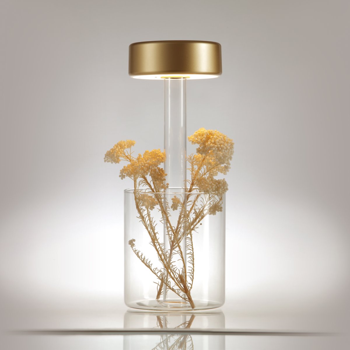 AI Collaboration 35cm Oro portátil De Maytoni - El diseño: con una fina varilla de metal; una base redonda plana o con base de cristal en la que se integra un jarrón.