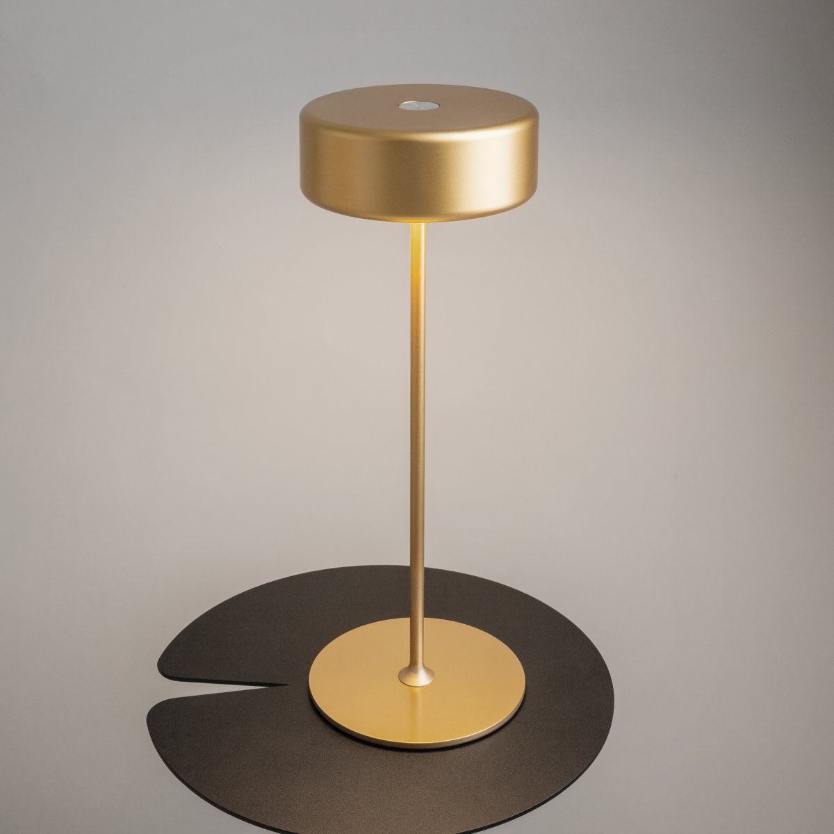 AI Collaboration 35cm Oro portátil De Maytoni - El diseño: con una fina varilla de metal; una base redonda plana o con base de cristal en la que se integra un jarrón.