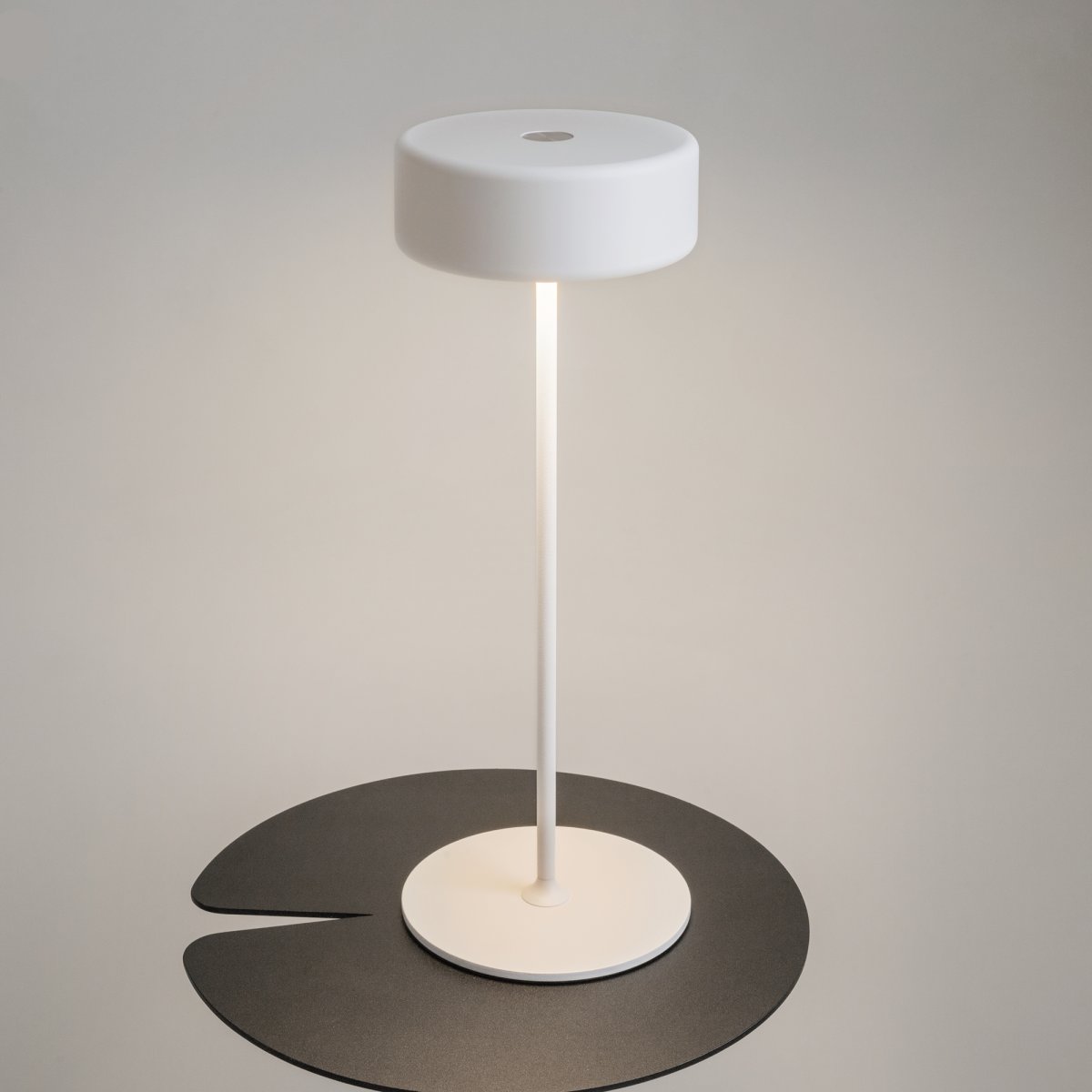 AI Collaboration 35cm Blanco portátil De Maytoni - El diseño: con una fina varilla de metal; una base redonda plana o con base de cristal en la que se integra un jarrón.
