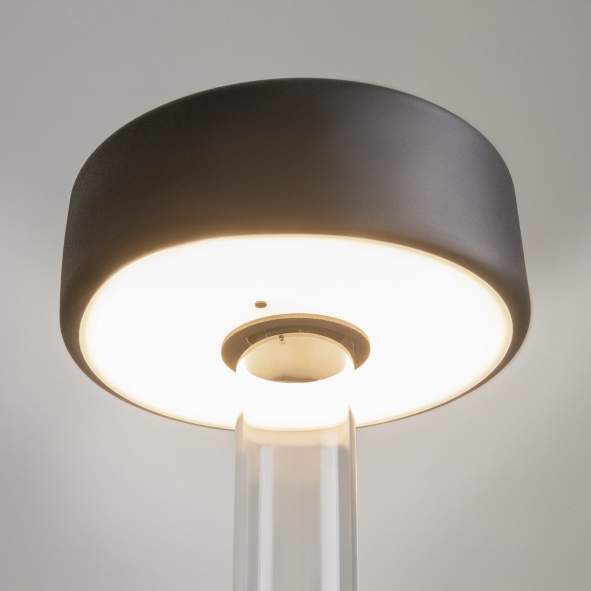 AI Collaboration 35cm Negro portátil De Maytoni - El diseño: con una fina varilla de metal; una base redonda plana o con base de cristal en la que se integra un jarrón.