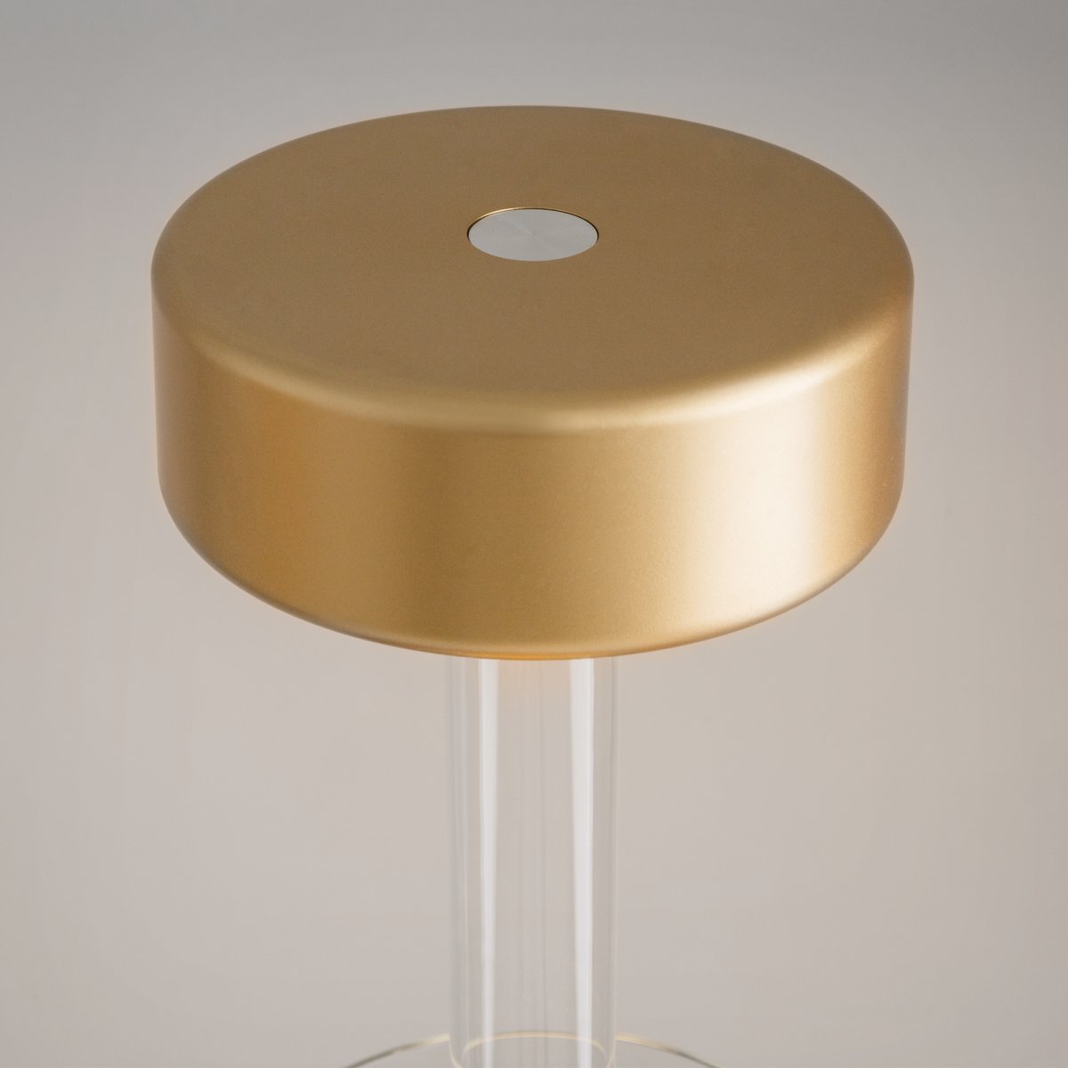 AI Collaboration 35cm Oro portátil De Maytoni - El diseño: con una fina varilla de metal; una base redonda plana o con base de cristal en la que se integra un jarrón.