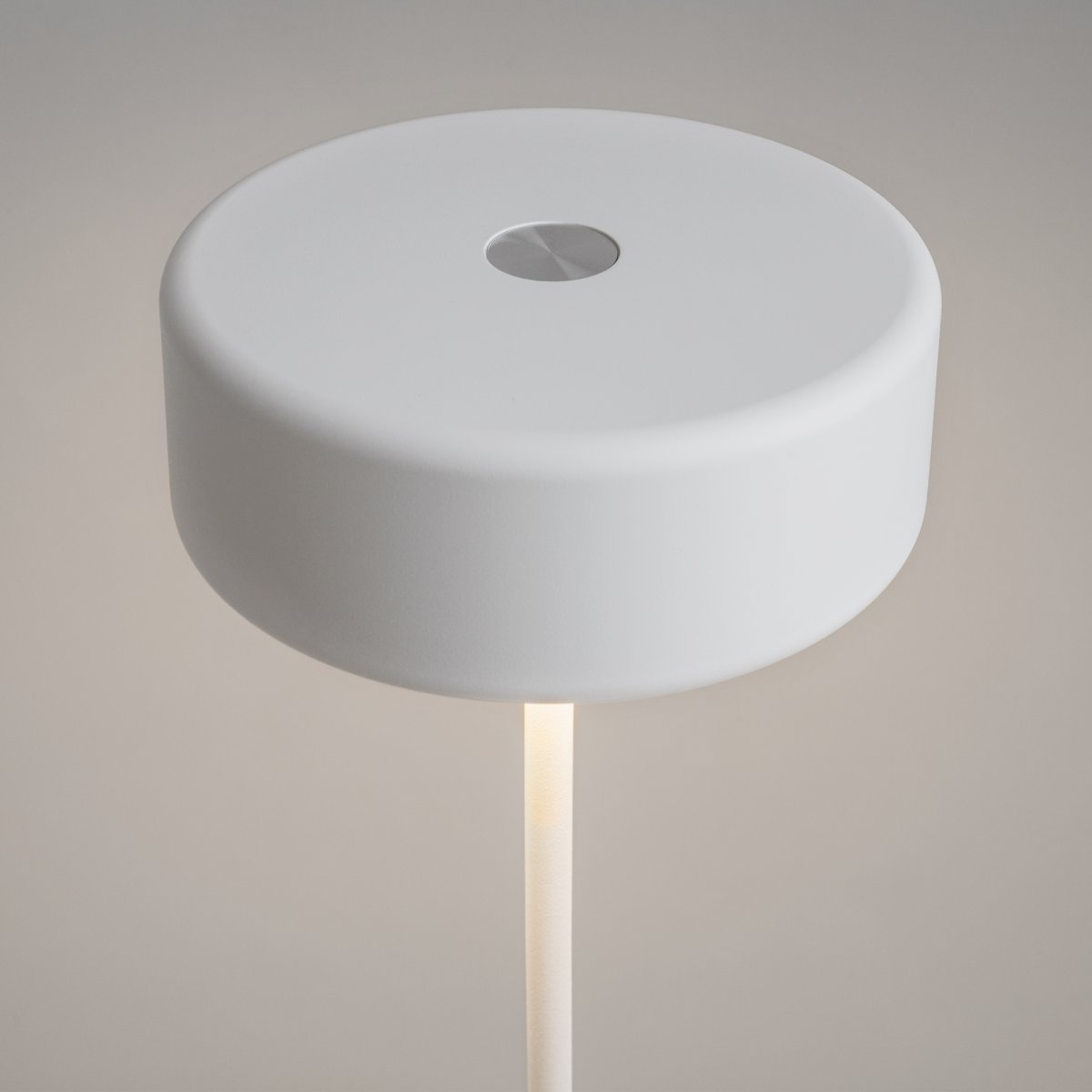 AI Collaboration 35cm Blanco portátil De Maytoni - El diseño: con una fina varilla de metal; una base redonda plana o con base de cristal en la que se integra un jarrón.
