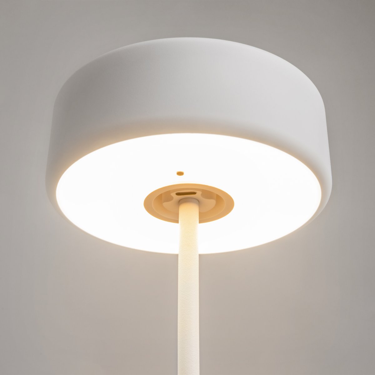 AI Collaboration 35cm Blanco portátil De Maytoni - El diseño: con una fina varilla de metal; una base redonda plana o con base de cristal en la que se integra un jarrón.