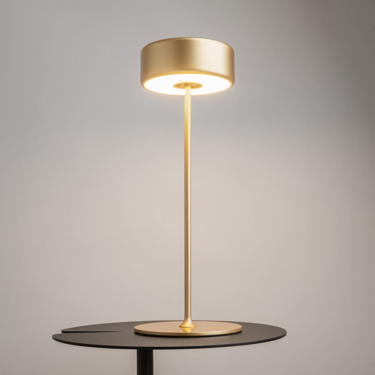 AI Collaboration 35cm Oro portátil De Maytoni - El diseño: con una fina varilla de metal; una base redonda plana o con base de cristal en la que se integra un jarrón.