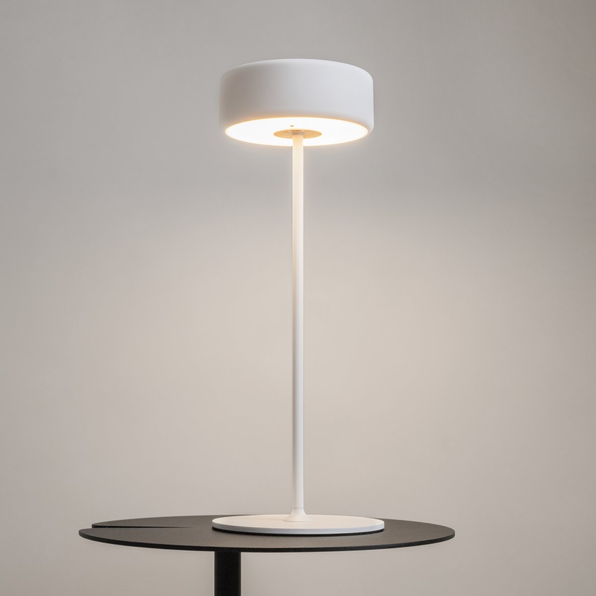 AI Collaboration 35cm Blanco portátil De Maytoni - El diseño: con una fina varilla de metal; una base redonda plana o con base de cristal en la que se integra un jarrón.