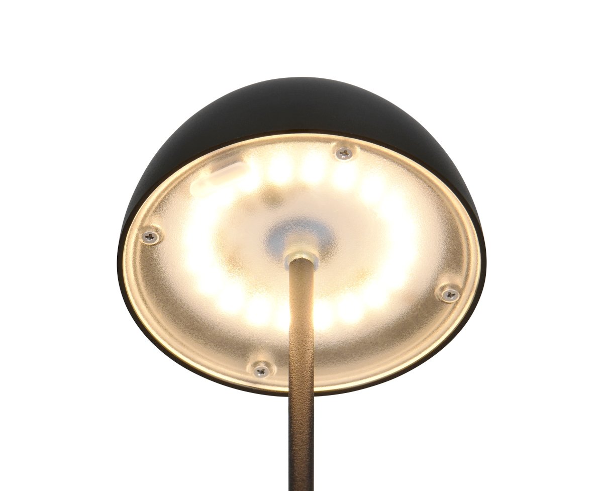 Ortiz 20cm Negro portátil De Trio Lighting - 