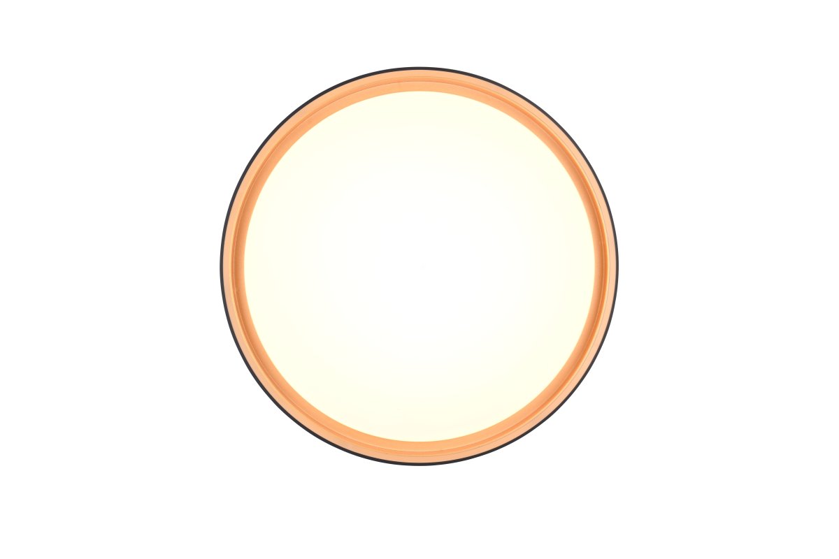 Felis Ø40 Negro plafón De Trio Lighting - La tecnolog&iacute;a LED de bajo consumo ahorra hasta un 80% en costes de energ&iacute;a y ofrece una larga vida &uacute;til con baja generaci&oacute;n de calor: una soluci&oacute;n inteligente y respetuosa con el medio ambiente para su hogar.