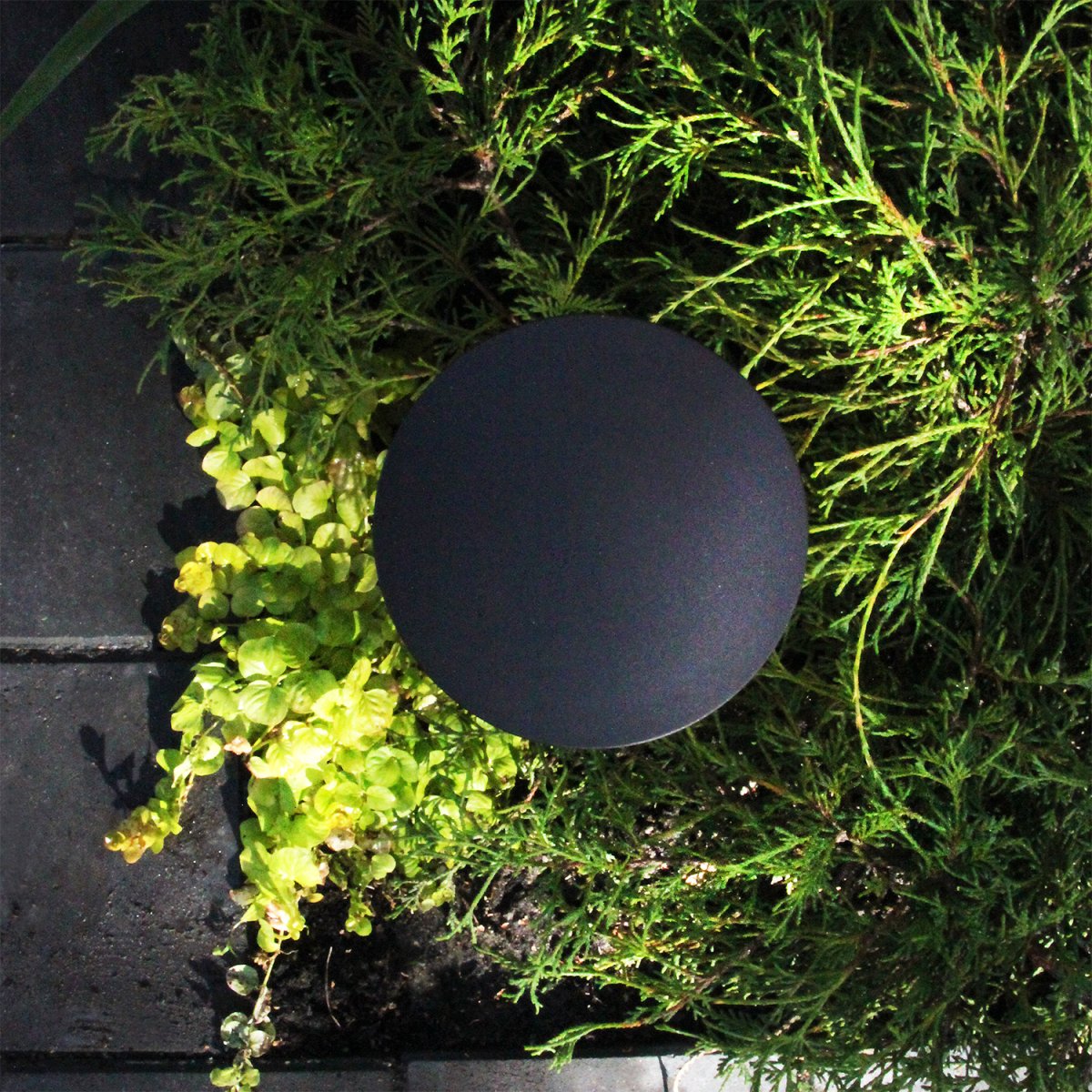 Orbit Gris oscuro De Lightson - Incluso cuando se utiliza en posición vertical en un macizo de flores, es eficaz e ilumina las plantas circundantes, mientras que la lámpara garantiza una distribución uniforme y fina de la luz.