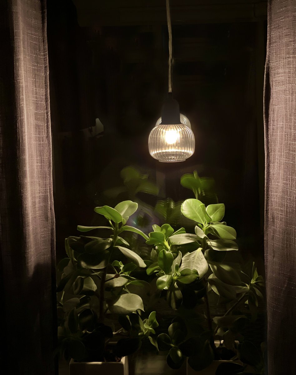 Elin Ø10 Color humo lámpara de ventana De Aneta Lighting - Deje que Elin ilumine las plantas en el alféizar de la ventana y cree un ambiente acogedor en la habitación, o ¿por qué no colocarla junto a la cama como lámpara de noche o encima del sofá de la esquina?